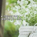 ★ 직접적인 지시 ★ 열왕기상 13-11-22 | 사진