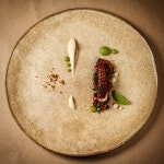 freexxxsize님이 gourmet에 올린 푸드 코디네이션