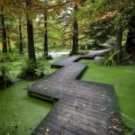 Top botanical gardens 45 exclusive on homesable.com | 정원 사진, 조경