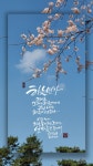 #글고운캘리그라피에 있는 화자님의 핀 | 서체
