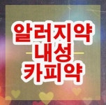 알러지약 카피약 - 2020