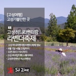 고성가볼만한곳, 고성 라벤더축제&봉포해수욕장&고성펜션 | Travel magazines, Travel, Nature