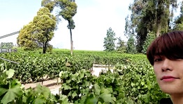 Pin on 빠른 저장