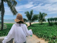 🌴🌴 산야 베이