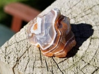 경이로운 자연.에 있는 신 정섭님의 핀