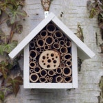 Bee Hotel | 채소 정원, 조경, 나무