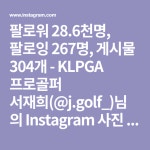 골프에 있는 핀