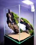 45 Nano Planted Tank Design Inspirations to Displayed at the... Stress45 Nano Planted Tank D… | 아쿠아리움, 테라리움, 어항