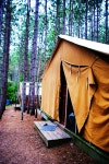 Camp ♥ - picture reminds me of girl scout camp | 텐트