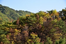 [구례여행] 가을, 지리산 피아골로 떠나는 가을 단풍여행 | Outdoor, Water, Vineyard