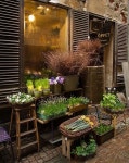 아이비플라워휴게점 | Pin by ha yang kim on 꽃과 화분 (With images) | Flower shop, Garden shop, Floral shop