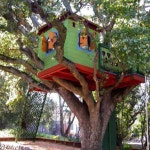 Now thats a jungle gym | 스튜디오