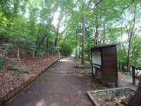 서초동 산책코스 추천,점심식사 후 우면산 서초약수터 | Plants, Garden, Sidewalk