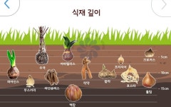 원예에 있는 Mysdch님의 핀 | 원예