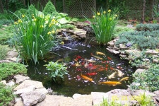 주식회사라라조경 | Pond ideas | 조경