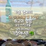 기장 해녀촌 연화리 죽도 해물맛집 조가네해물집20번집 다녀온 실제후기  안녕하세요 심플디자인 부산경남점입니다  오늘은 힐링하러... 