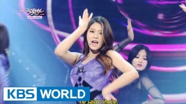 AOA - Like a Cat (사뿐사뿐) [Music Bank HOT Stage / 2014.11.28] | Aoa like a cat, Like a cat, Aoa
