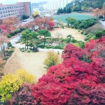 #가을교정 #순천제일대학교 비봉관 #멀리가지않아도 좋은경치 #단풍 | Instagram, Outdoor, Photo, video