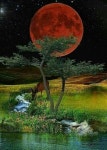 대자연에 있는 dohyang lee님의 핀 | 풍경 사진, 그림 그리기, 경치