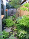 영심 남님이 Backyard에 올린 이미지 | 뒷마당, 정원 가꾸기, 작은 정원