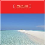 몰디브 자유여행/몰디브 배낭여행/몰디브 로컬섬여행/몰디브 게스트하우스/몰디브 고래상어투어/몰디브 부티끄비치 http://blog.naver.... 