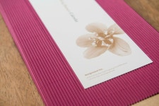 Design SOHO » ㈜디자인소호 캘린더 3종 _ 나무, 물고기, 야생화 | 야생화, 물고기, 나무