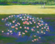 그대에게 드리는 부케 - 장천 김선수 화백 : 네이버 카페 | 그림, 꽃, 부케
