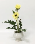 flower arrangments에 있는 kim sunghye님의 핀