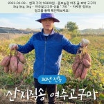 2023-02-09 / 25900원 / 종호농장 여주 꿀 호박 고구마 3kg 5kg, 5kg - 2023