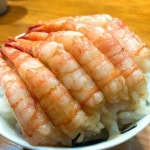 日料에 있는 핀