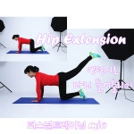 홈트레이닝 with 퍼스널트레이닝 mio에 있는 핀