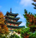 South Korea | 수채화