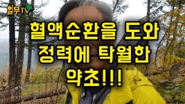 건강  운동  약초  비타민에 있는 김득환님의 핀 | 건강 운동, 약초, 운동