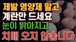 계란 매일 드셔야 하는 이유 눈이 밝아지고 치매는 오지 않습니다.이것과 꼭 함께 드세요 - 2023 | 계란, 좋은 음식, 건강