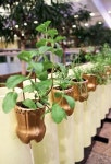 PET Bottle Handling: 68 Photos and Footsteps | Home Decoo | 정원 가꾸기, 정원 가구, 화분