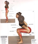 The Science of Fitness | 근력 운동