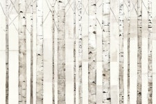 art installation에 있는 Zoe huang님의 핀 | 포스터 그림, 풍경화, 자작나무