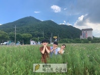 [대구달성군 : 이희원 기자] 논공삼거리 코스모스단지에 여러분을... 대구 달성군(군수 김문오)은 낙동강 둔치에 코스모스단지(논공삼거리 인근)... 