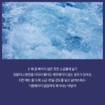 하얀 옷 빨래를 더 하얗게 만드는 노하우 | 옷, 생활의 요령