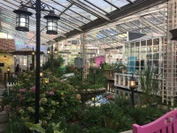 Daily Pictures에 있는 Haneul Lee님의 핀