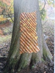 Pin by 민숙 김 on 생태놀이 (With images) | Wood, Texture, Crafts