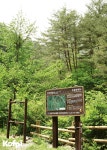 가리왕산자연휴양림 copyrightⓒ Kofpi. All rights reserved.