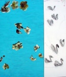 2003년작 生의 노래(우포에서2)125.8x116.8 (cm)