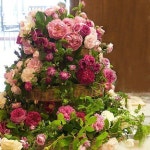 multi tier rose and ivy arrangement(이미지 포함)