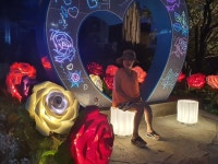 #제주도사진찍기 좋은곳 #신서귀로 사랑의거리 #LED대왕꽃 #자이언트 #제주도사진찍기 좋은곳  #신서귀로 사랑의거리 #LED대왕꽃 #자이언트