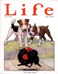 Life 1924-05-22(이미지 포함)