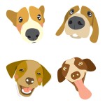 illustrations | Dog illustration, Dog dry skin, Happy animals