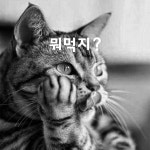 아침 점심 저녁