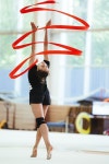 Pin by 김은주 on 발레 | Rhythmic gymnastics training, Rhythmic gymnastics, Artistic gymnastics