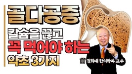 칼슘은 그만 드세요 골다공증에는 이 약초들이 정말 효과 좋습니다 | 건강, 건강 팁, 건강 음식